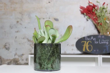 The Art for Living - Pflanzenbereich 01 - Blumen Pflanzen