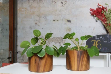 The Art for Living - Pflanzenbereich 07 - Blumen Pflanzen