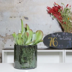 The Art for Living - Pflanzenbereich 09 - Blumen Pflanzen