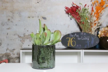 The Art for Living - Pflanzenbereich 09 - Blumen Pflanzen