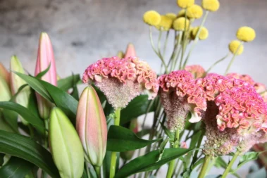 The Art for Living - Schnittblumen 03 - Blumen Pflanzen