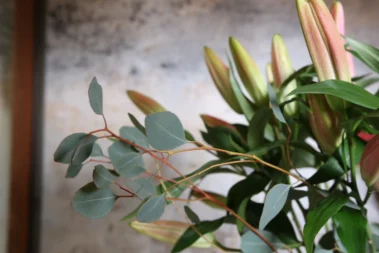 The Art for Living - Schnittblumen 06 - Blumen Pflanzen