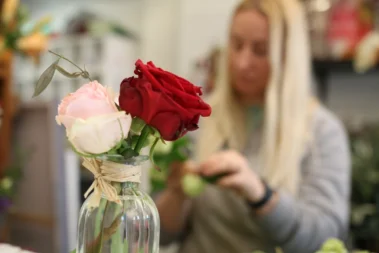 The Art for Living - Team 03 - Blumen Pflanzen