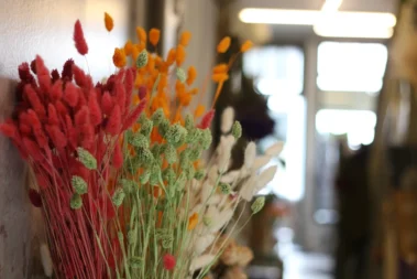 The Art for Living - Trockenblumen 01 - Blumen Pflanzen