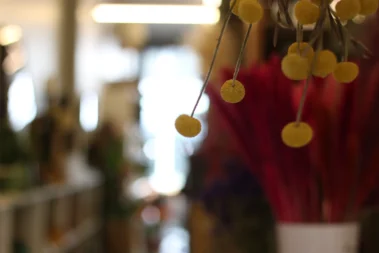 The Art for Living - Trockenblumen 02 - Blumen Pflanzen