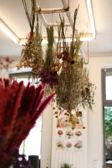 The Art for Living - Trockenblumen 03 - Blumen Pflanzen