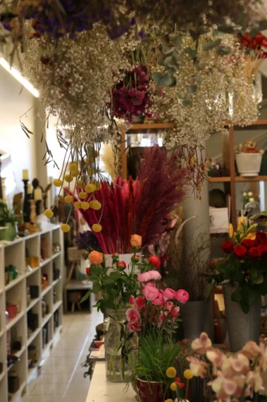 The Art for Living - Trockenblumen 04 - Blumen Pflanzen